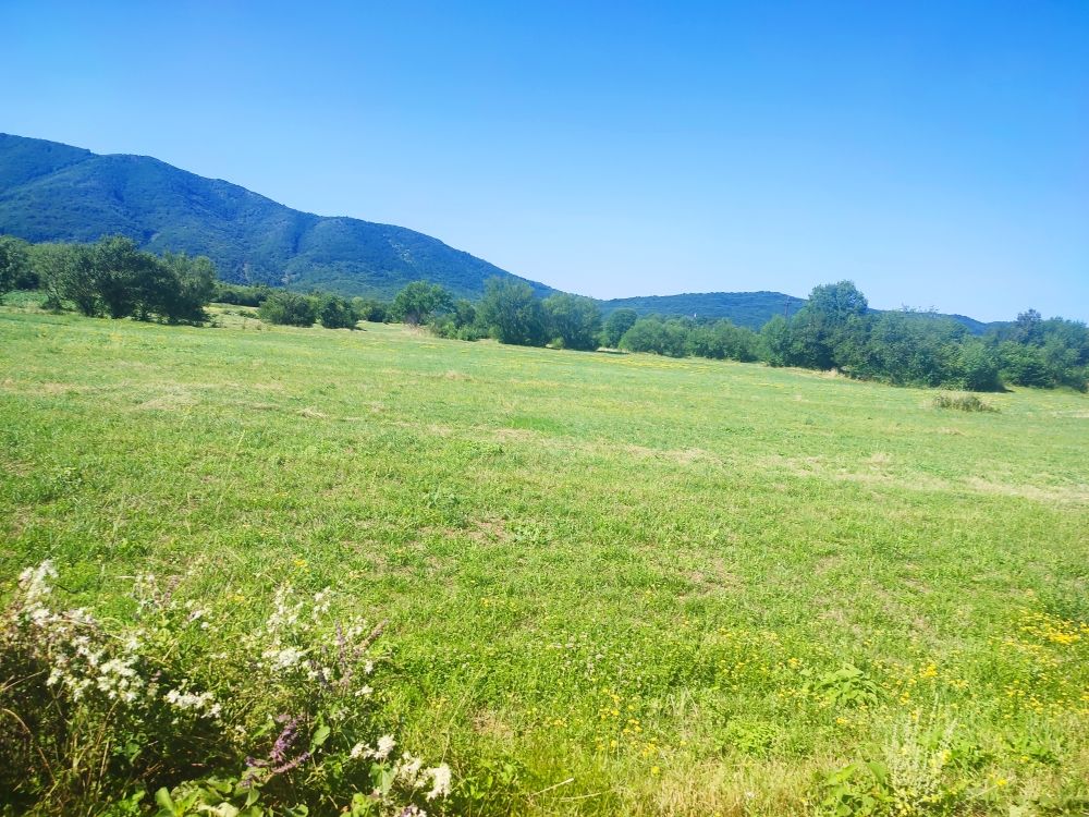 Земля в Никшиче, Черногория, 103 855 м² - фото 2