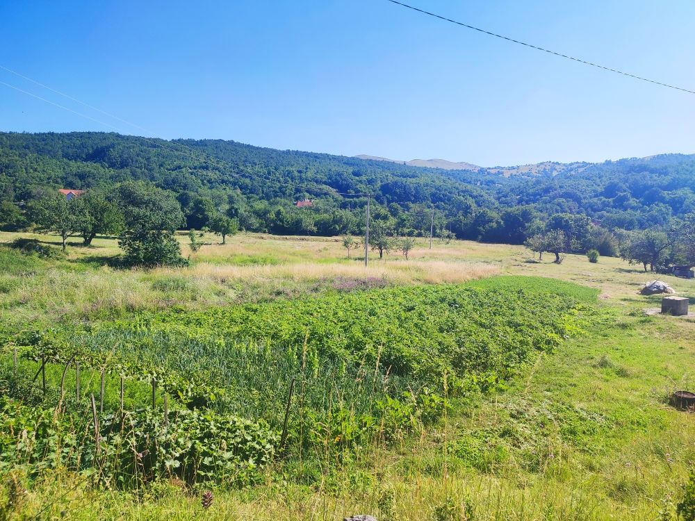 Земля в Никшиче, Черногория, 103 855 м² - фото 6