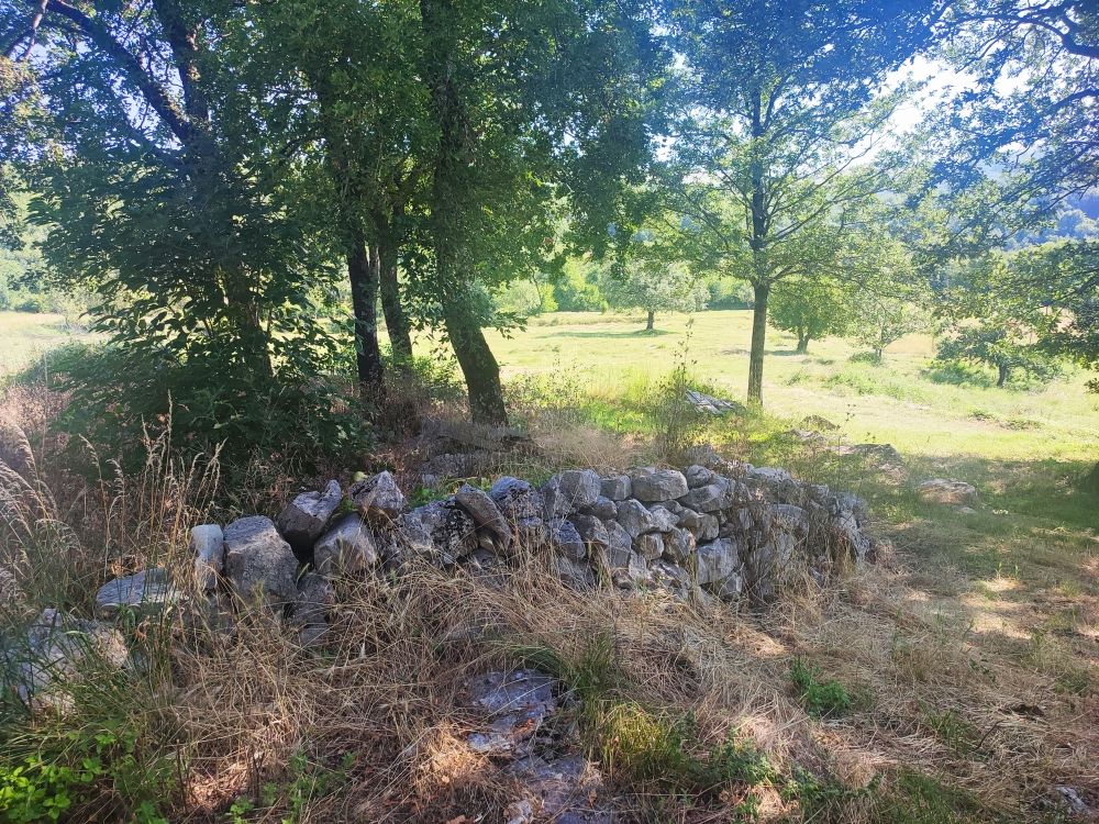 Земля в Никшиче, Черногория, 103 855 м² - фото 7