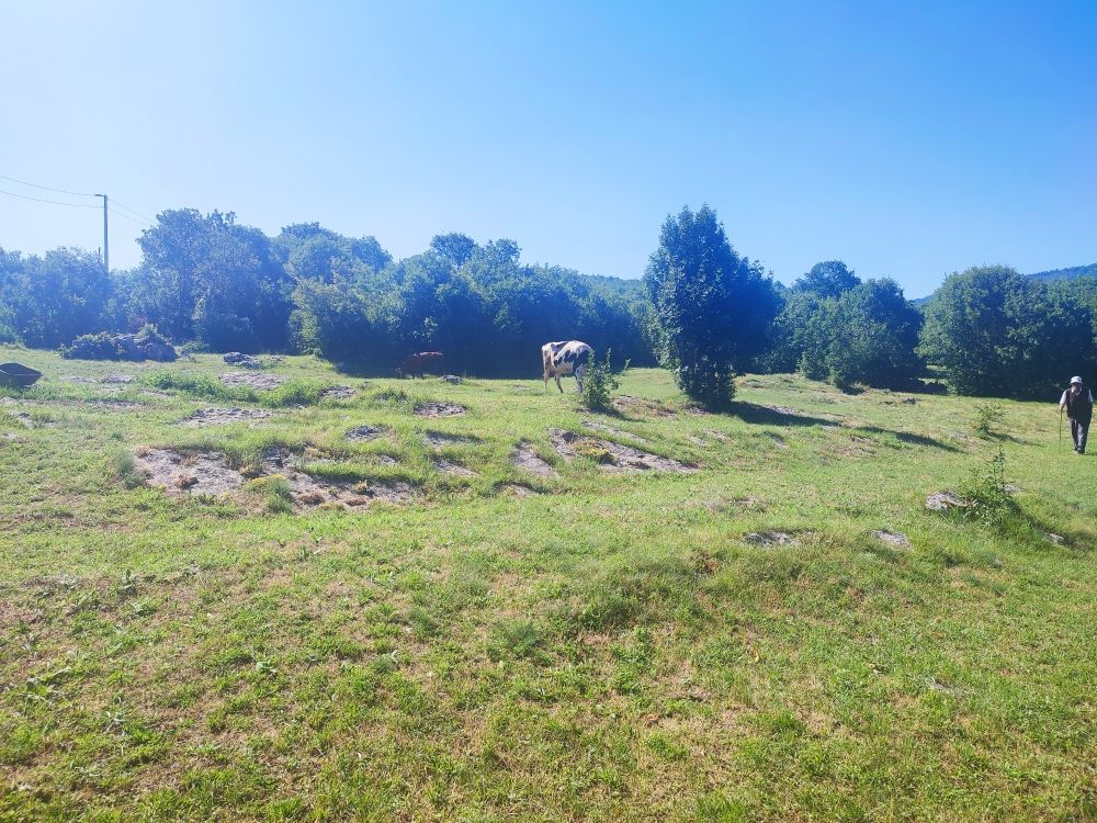 Земля в Никшиче, Черногория, 103 855 м² - фото 3