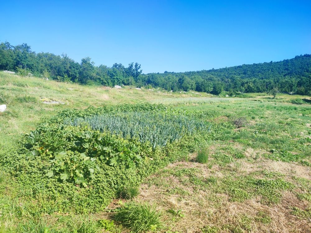 Земля в Никшиче, Черногория, 103 855 м² - фото 8