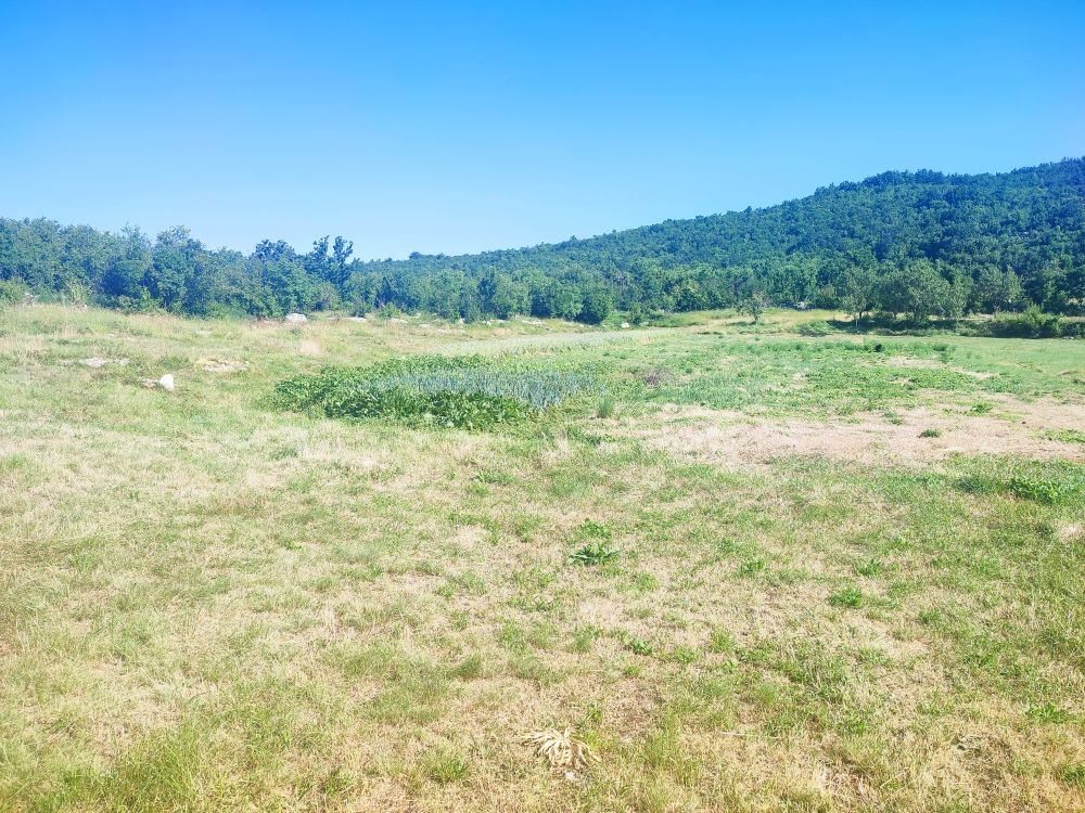 Земля в Никшиче, Черногория, 103 855 м² - фото 12