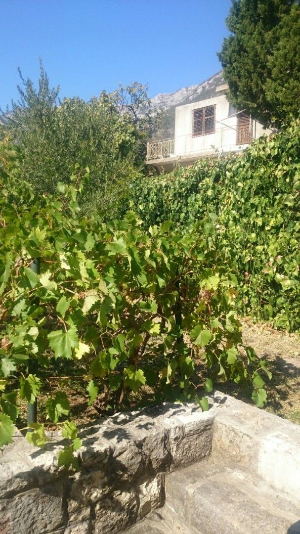 Дом в Сутоморе, Черногория, 200 м² - фото 2