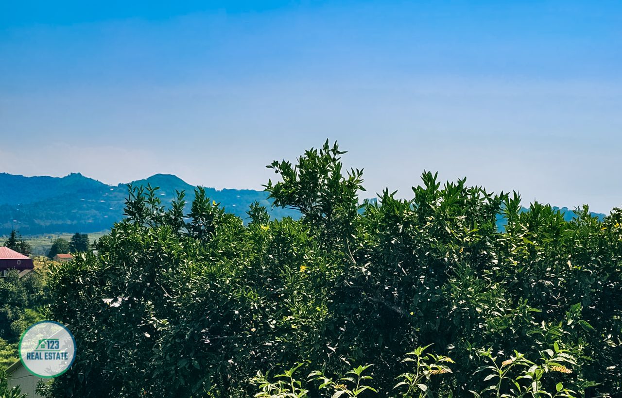 Земля в Батуми, Грузия, 5 641 м² - фото 17