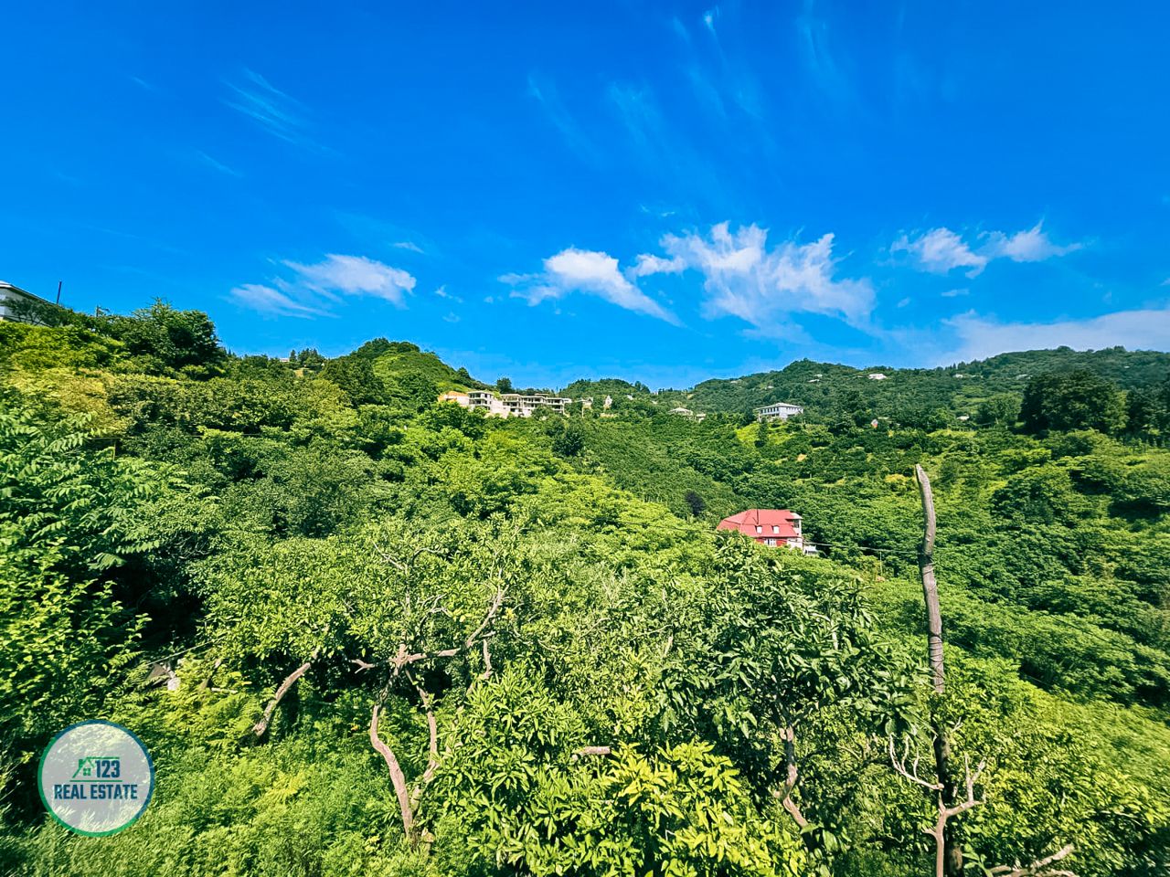 Земля в Батуми, Грузия, 5 641 м² - фото 12