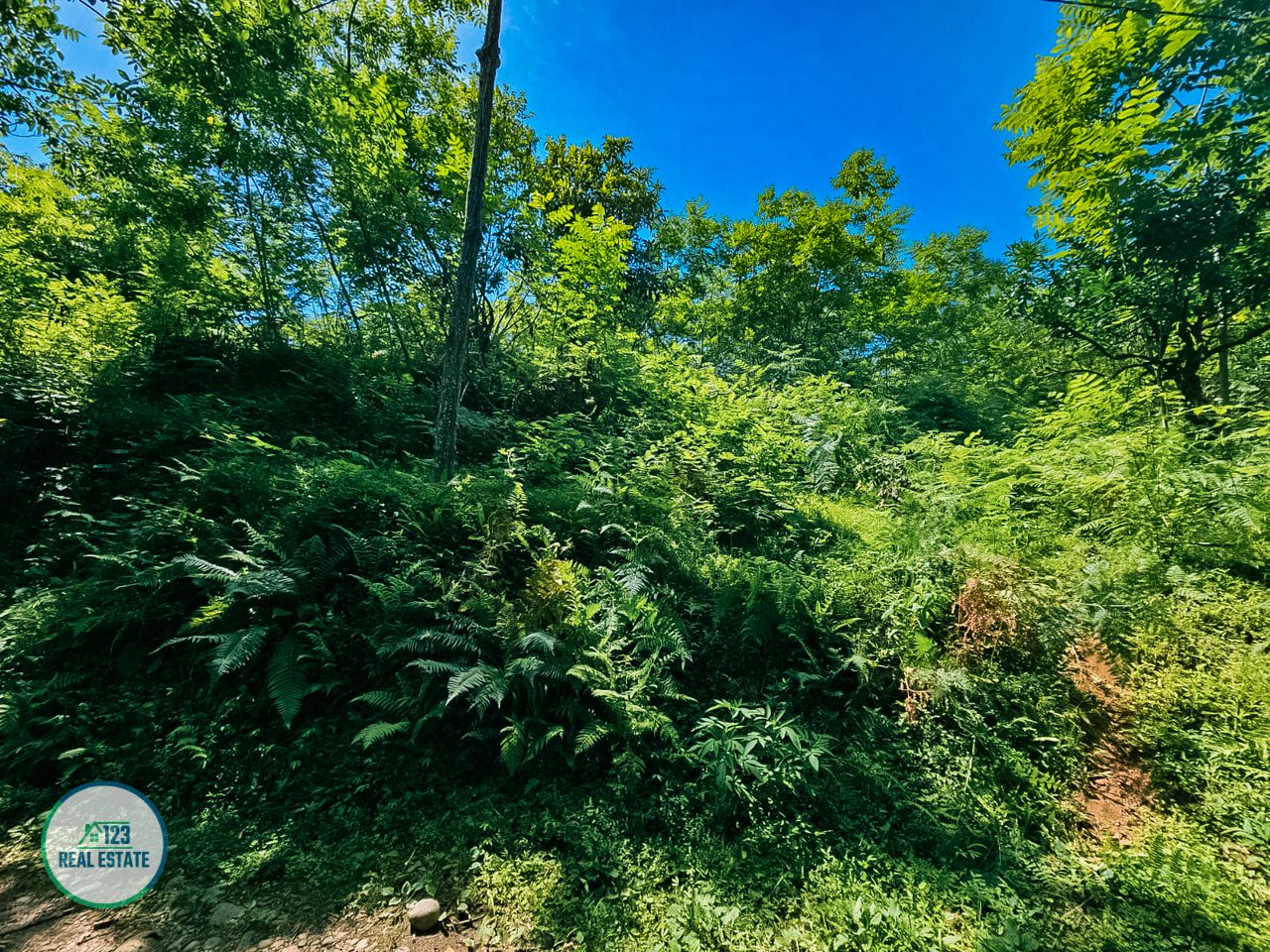 Земля в Батуми, Грузия, 5 641 м² - фото 5