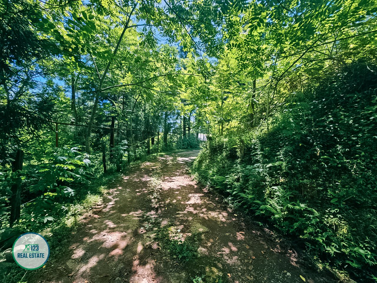 Земля в Батуми, Грузия, 5 641 м² - фото 6