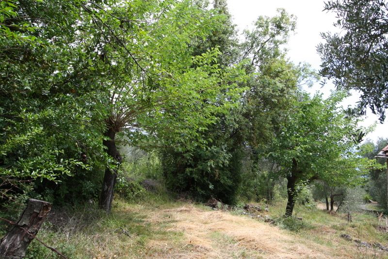 Земля в Херцег-Нови, Черногория, 1 000 м² - фото 3