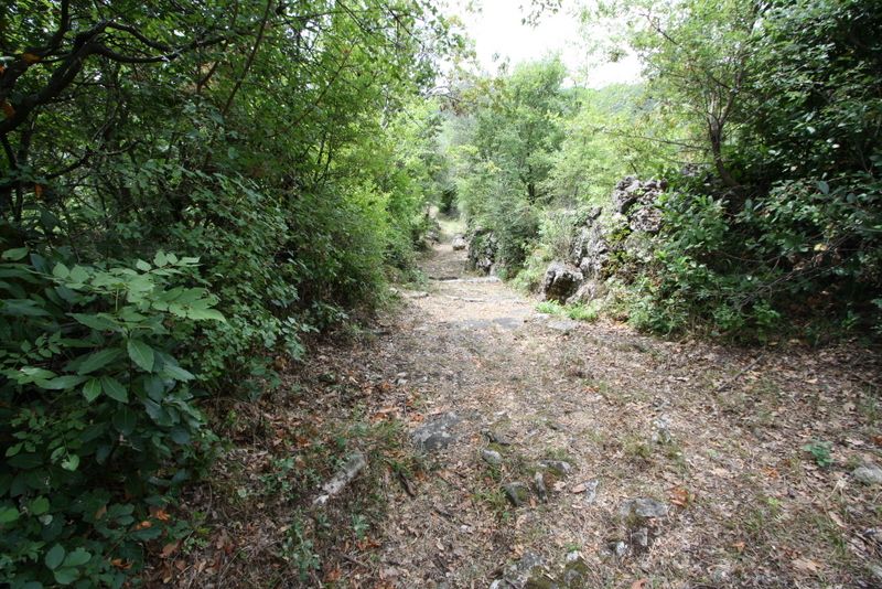 Земля в Херцег-Нови, Черногория, 1 000 м² - фото 4