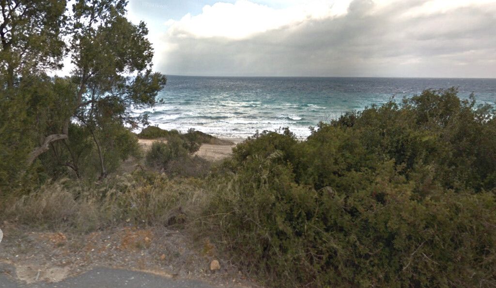 Земля на Кассандре, Греция, 1 600 м² - фото 3