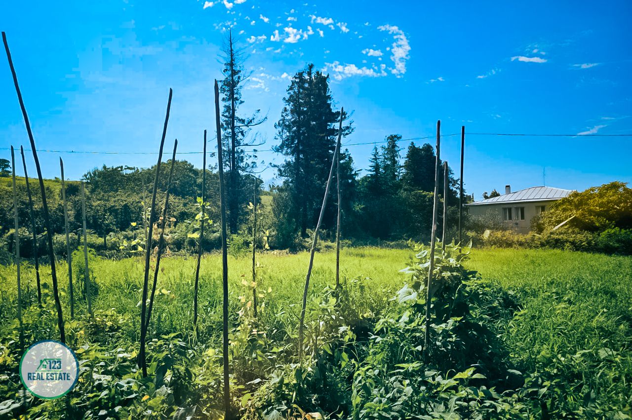 Земля в Батуми, Грузия, 1 810 м² - фото 11