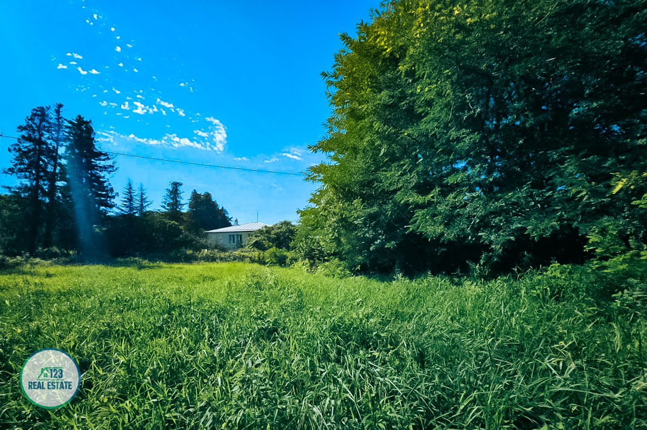 Земля в Батуми, Грузия, 1 810 м² - фото 12