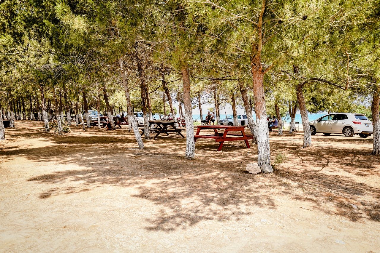 Апартаменты в Искеле, Кипр, 79 м² - фото 13