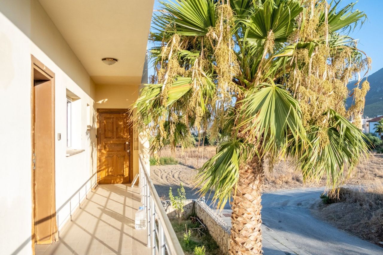 Апартаменты в Кирении, Кипр, 50 м² - фото 16