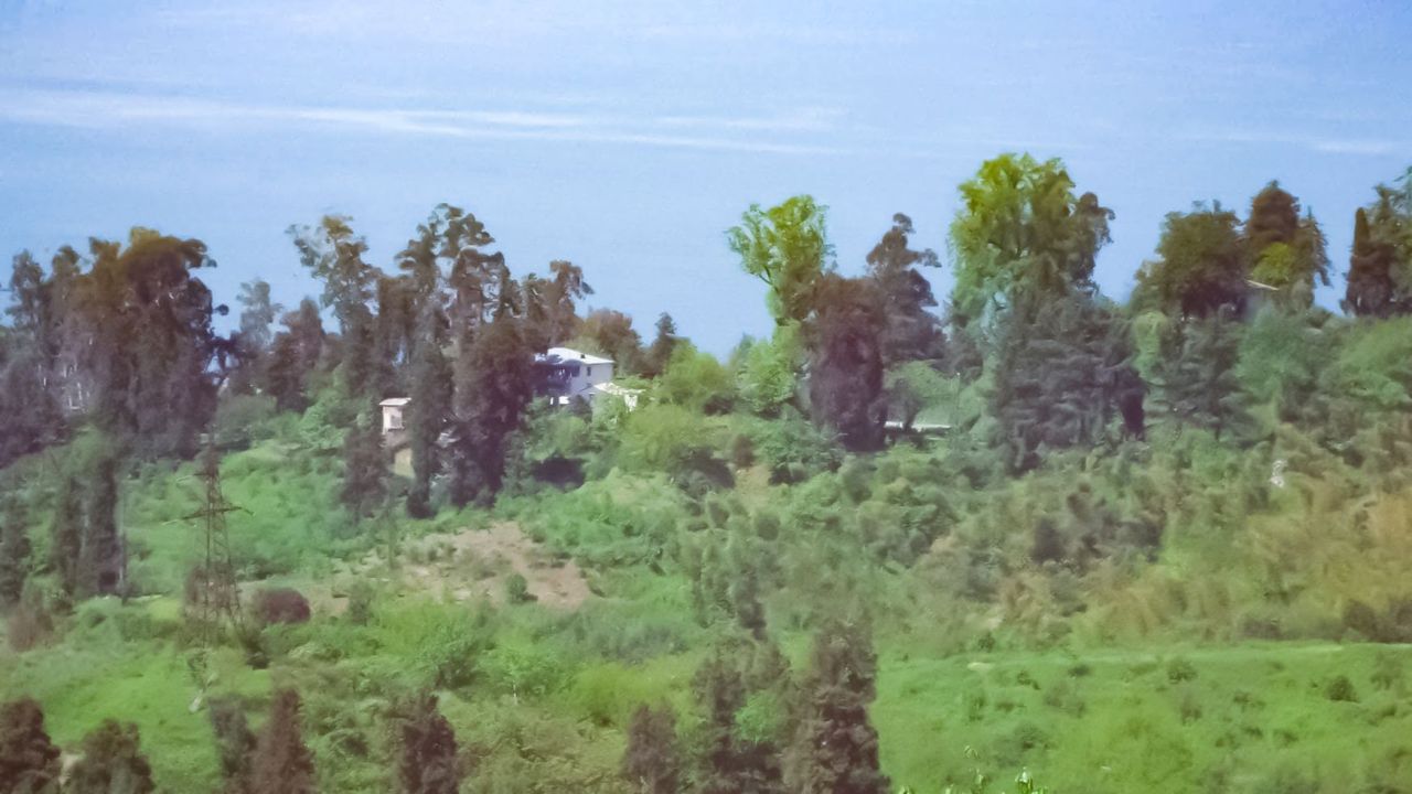 Земля в Батуми, Грузия, 2 223 м² - фото 3