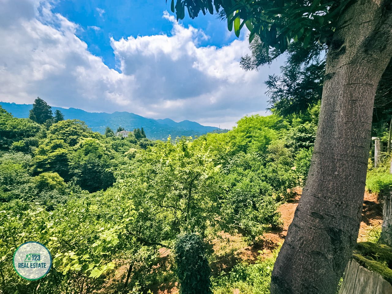 Дом в Батуми, Грузия, 200 м² - фото 3