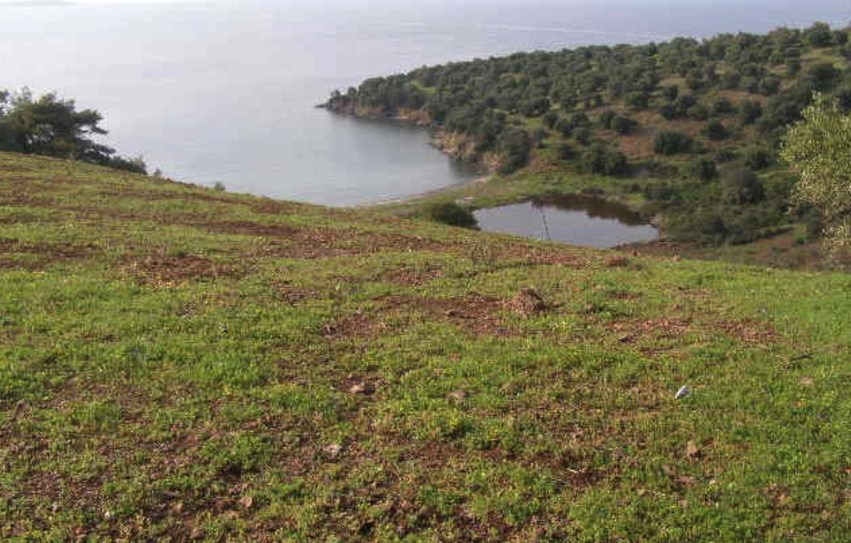 Земля на Халкидиках, Греция, 13 380 м² - фото 4