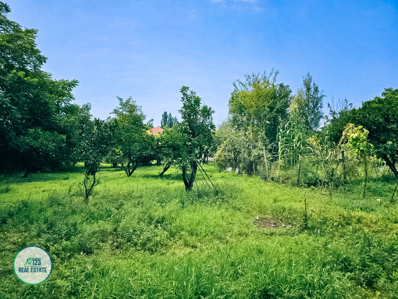 Земля в Батуми, Грузия, 2 000 м² - фото 12