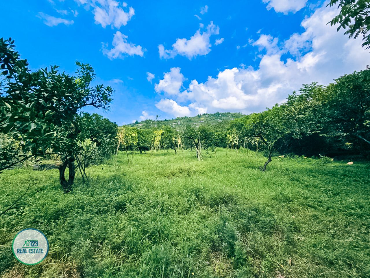 Земля в Батуми, Грузия, 2 000 м² - фото 2