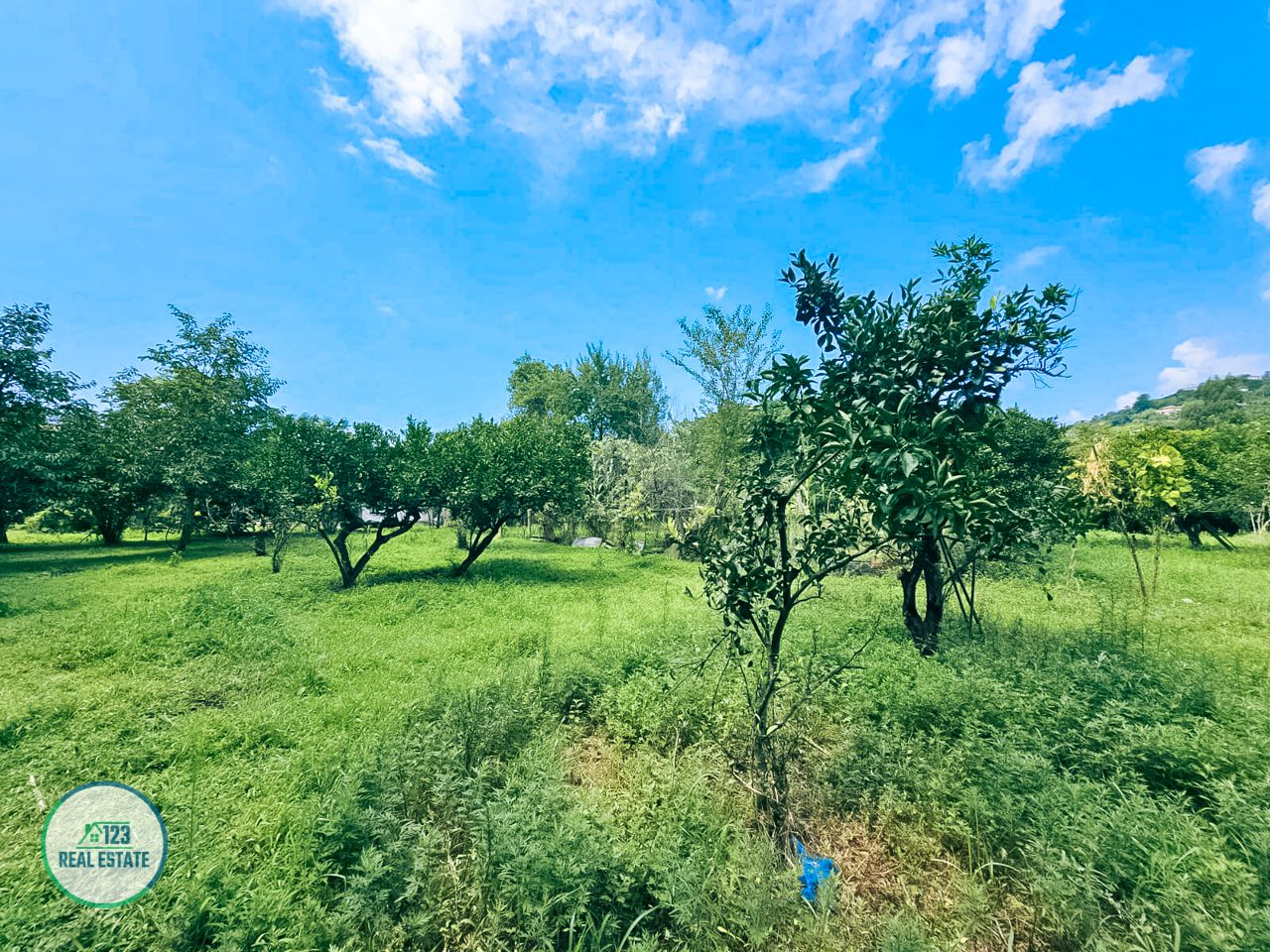 Земля в Батуми, Грузия, 2 000 м² - фото 3