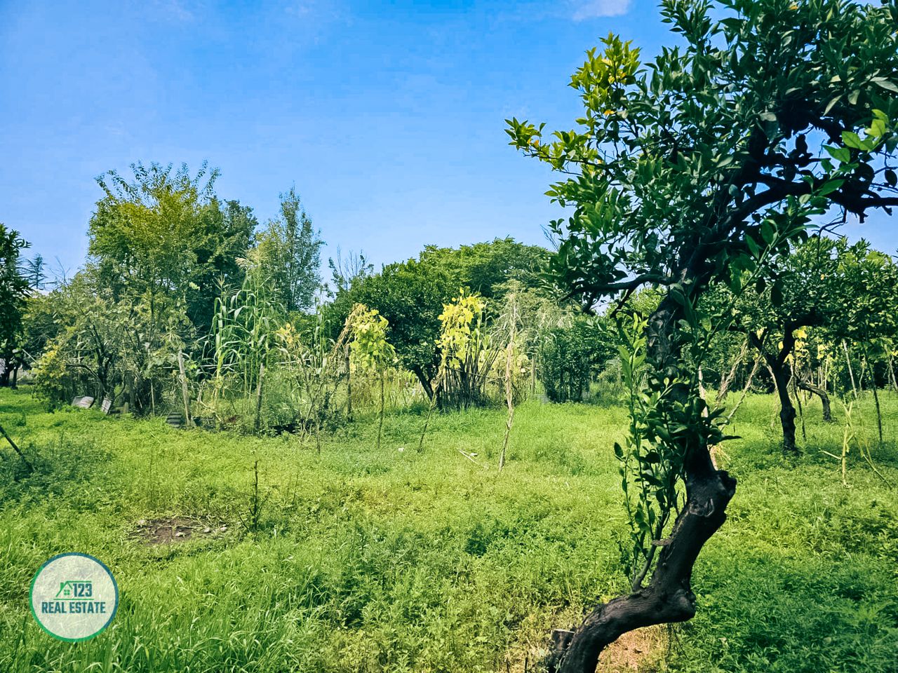 Земля в Батуми, Грузия, 2 000 м² - фото 15