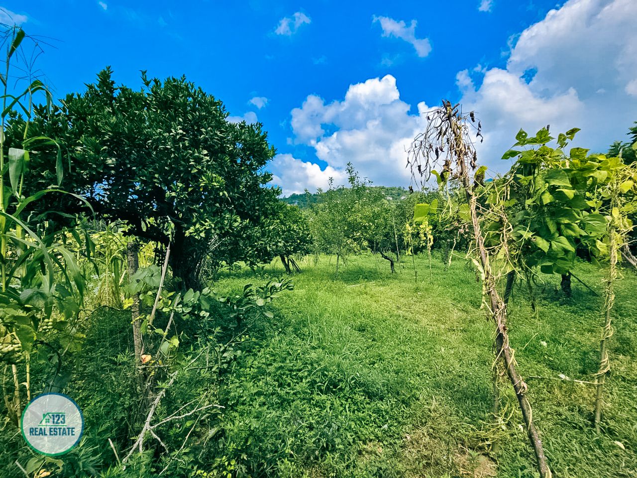 Земля в Батуми, Грузия, 2 000 м² - фото 18