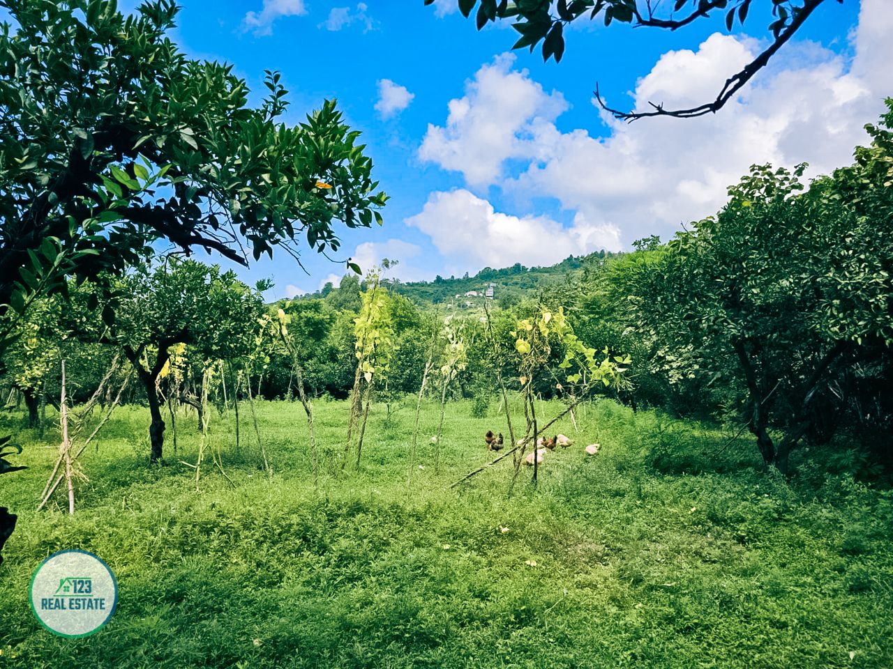 Земля в Батуми, Грузия, 2 000 м² - фото 10