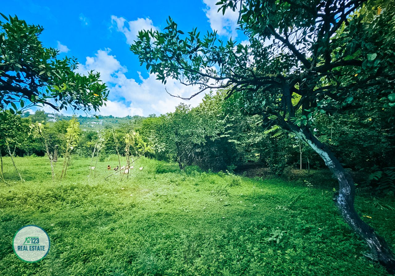 Земля в Батуми, Грузия, 2 000 м² - фото 11