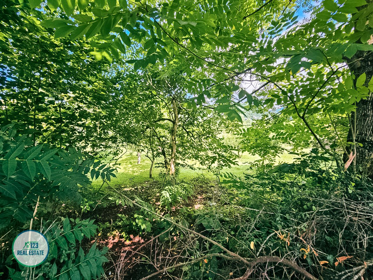 Земля в Батуми, Грузия, 2 000 м² - фото 8