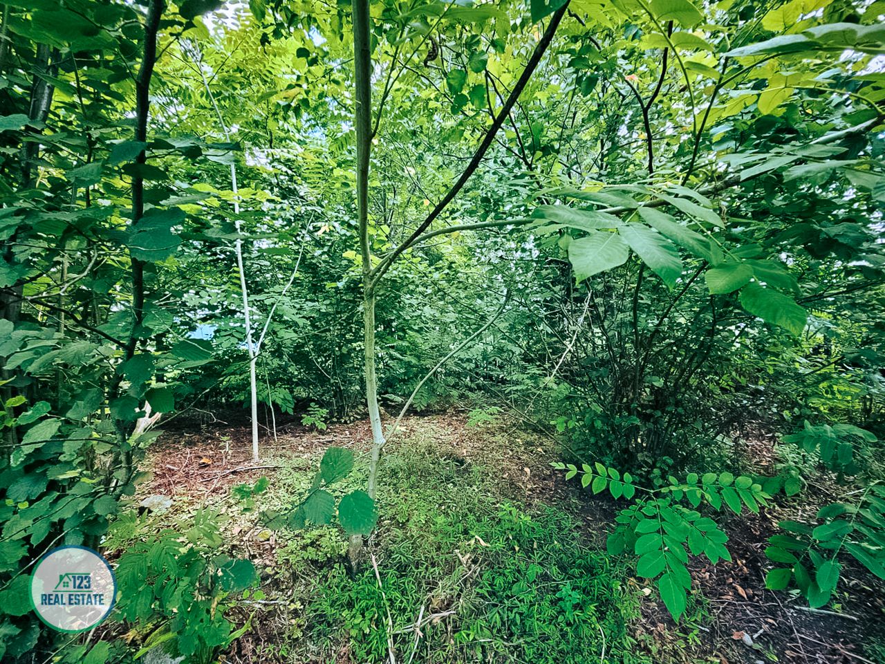 Земля в Батуми, Грузия, 2 000 м² - фото 13