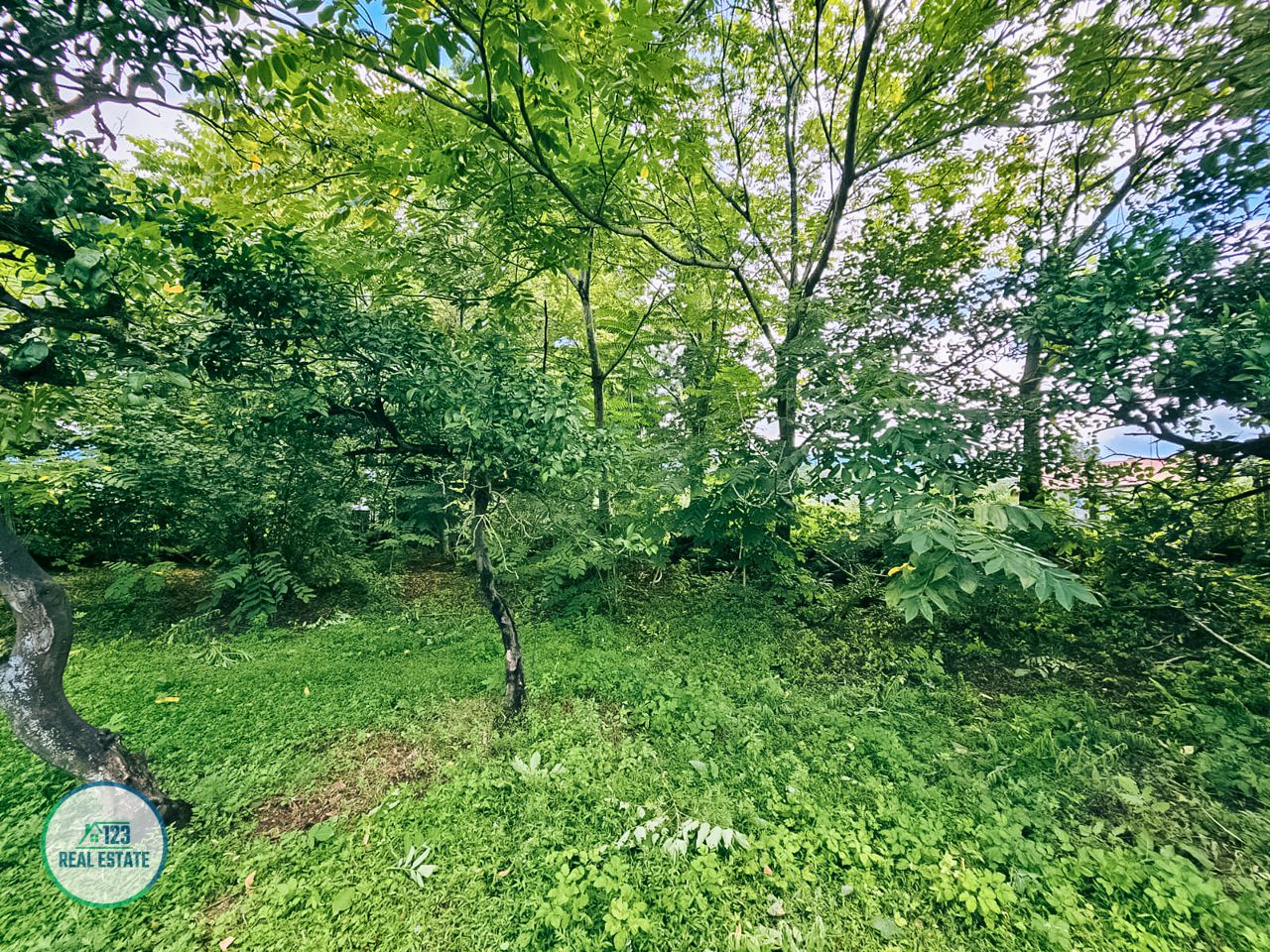 Земля в Батуми, Грузия, 2 000 м² - фото 9