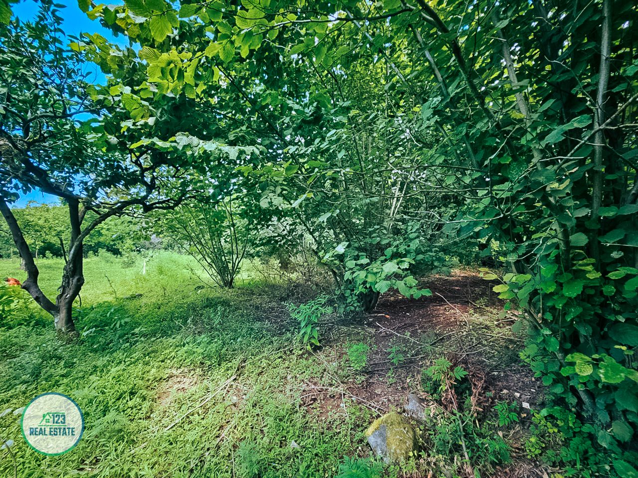 Земля в Батуми, Грузия, 2 000 м² - фото 14