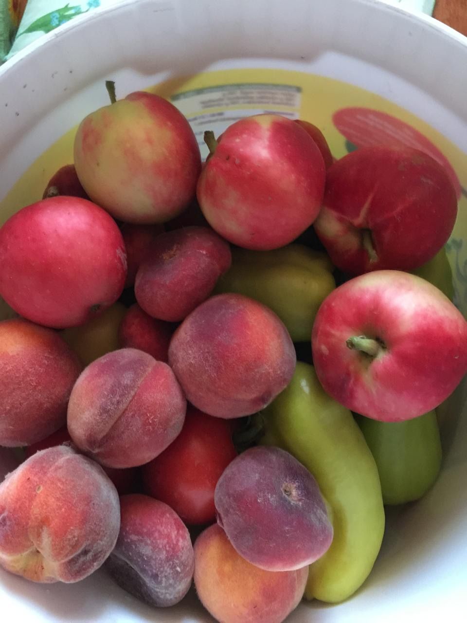 Дом в Дьёре, Венгрия, 240 м² - фото 4