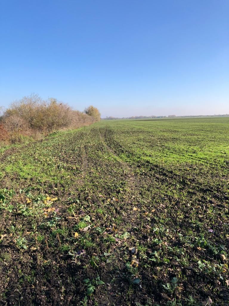 Ферма Nagyszentjános, Венгрия, 1 073 952 м² - фото 2