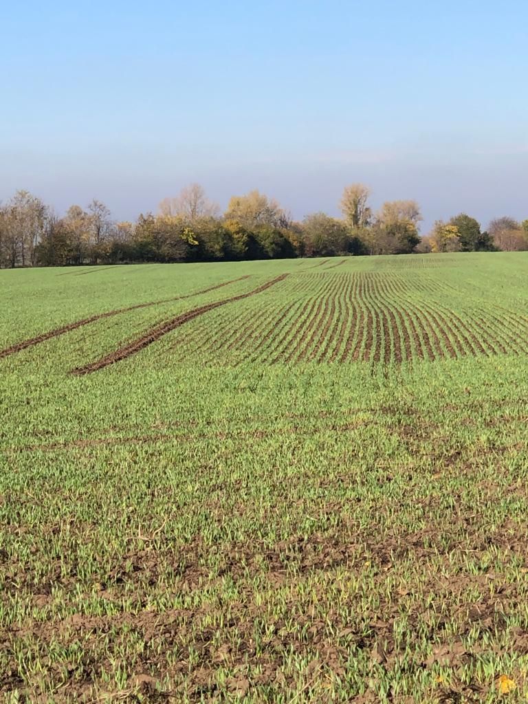 Ферма Nagyszentjános, Венгрия, 1 073 952 м² - фото 7