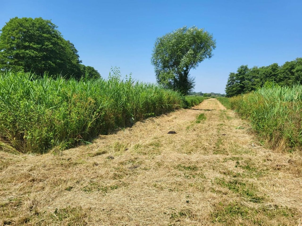 Земля Somogysámson, Венгрия, 494 524 м² - фото 14