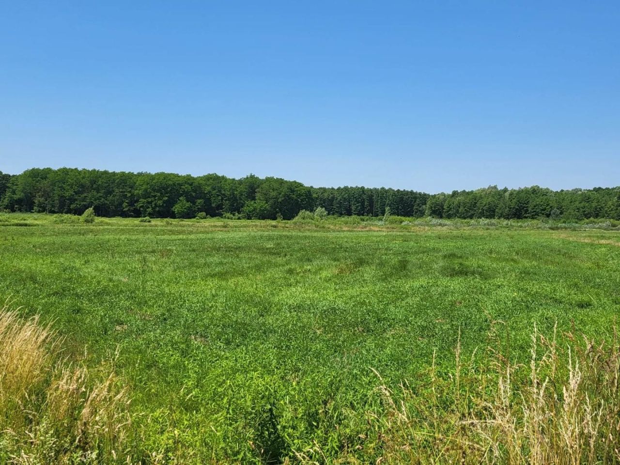 Земля Somogysámson, Венгрия, 494 524 м² - фото 18