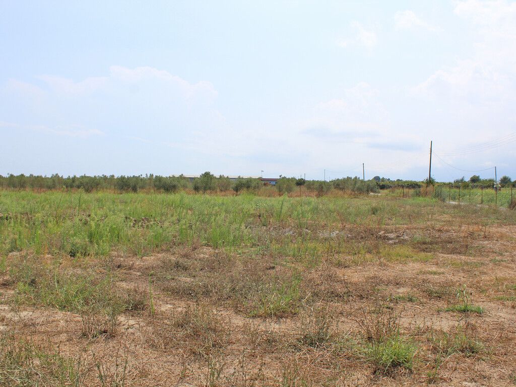 Дом в Олимпиаки-Акти, Греция, 70 м² - фото 10