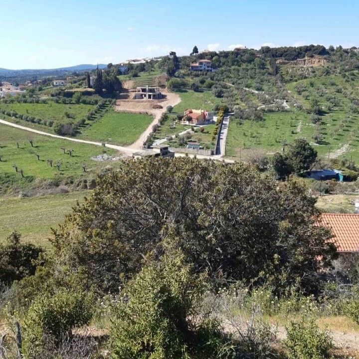 Земля в Ситонии, Греция, 2 233 м² - фото 5