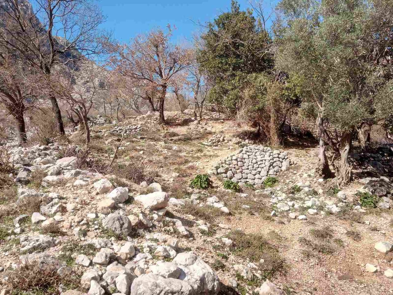 Земля в Которе, Черногория, 9 561 м² - фото 3