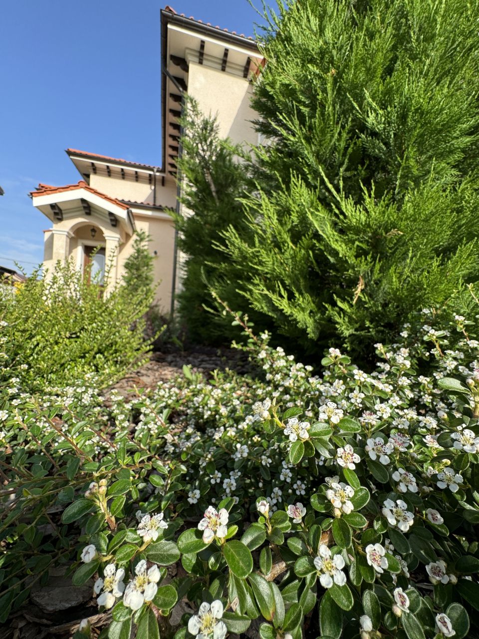 Особняк Bucharest, Румыния, 780 м² - фото 12