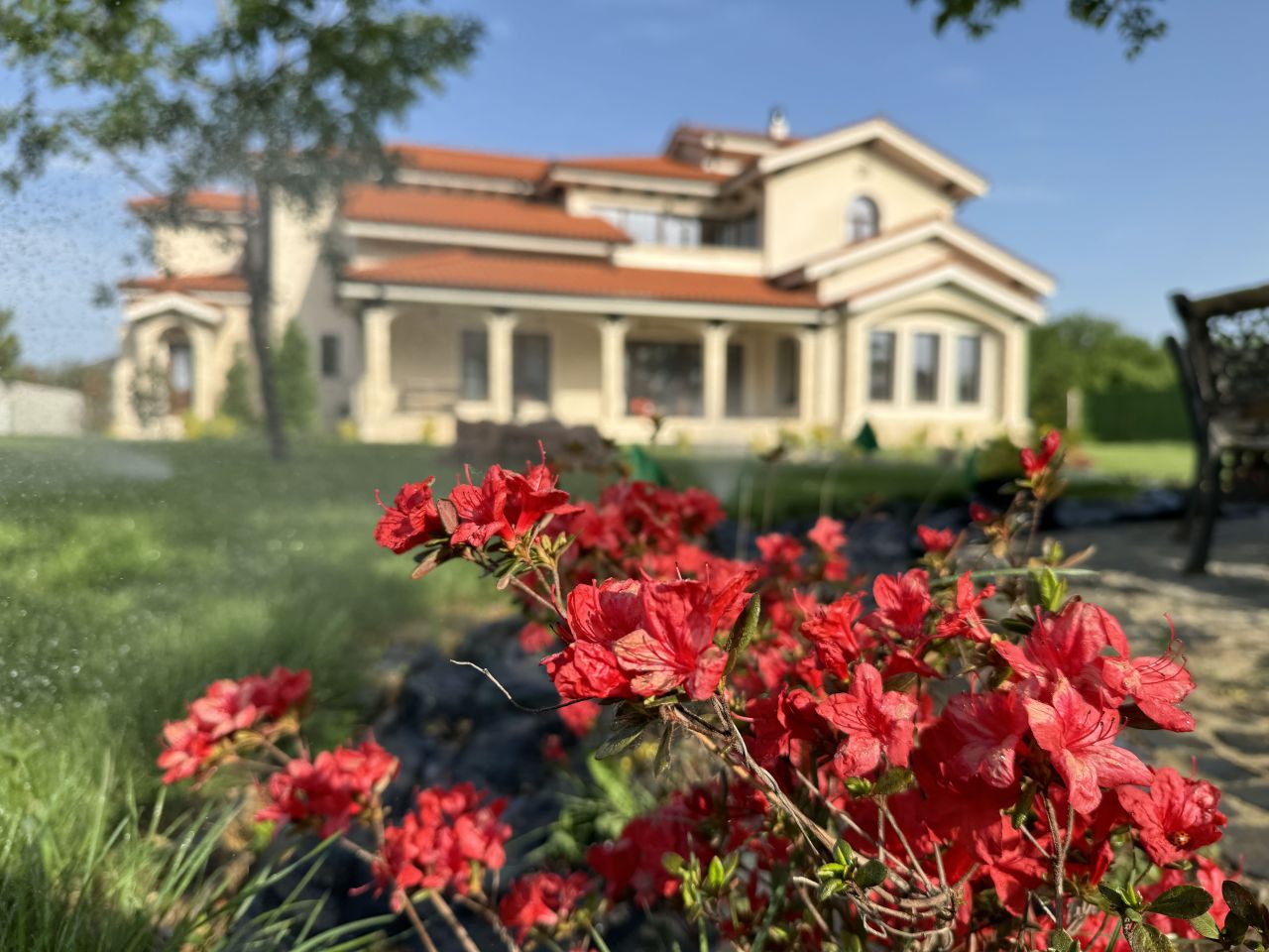 Особняк Bucharest, Румыния, 780 м² - фото 5