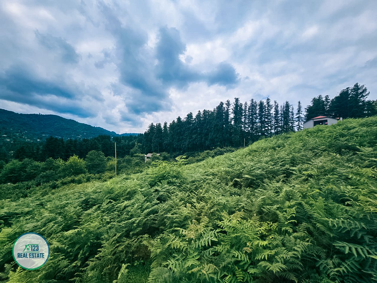 Земля в Батуми, Грузия, 3 397 м² - фото 3