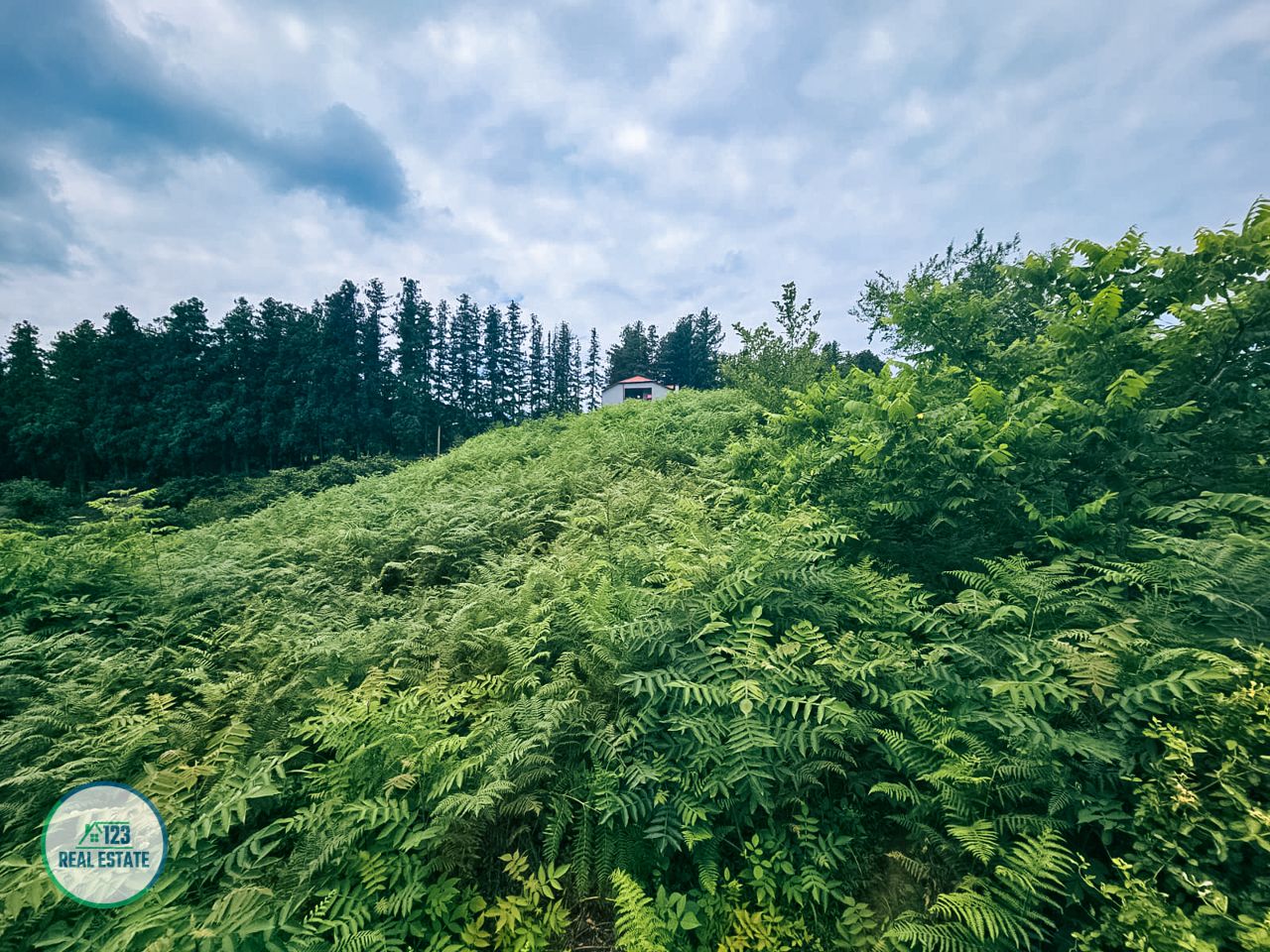 Земля в Батуми, Грузия, 3 397 м² - фото 5