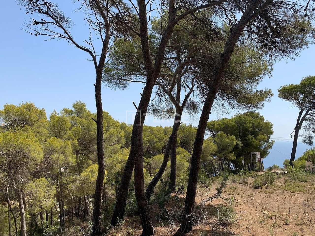 Вилла в Бенитачеле, Испания, 414 м² - фото 15