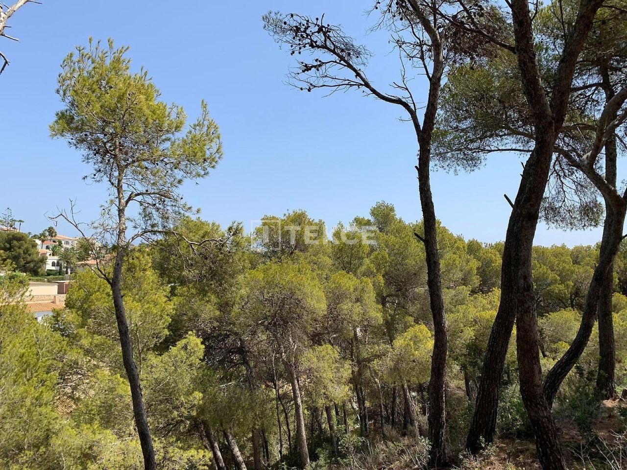 Вилла в Бенитачеле, Испания, 414 м² - фото 16