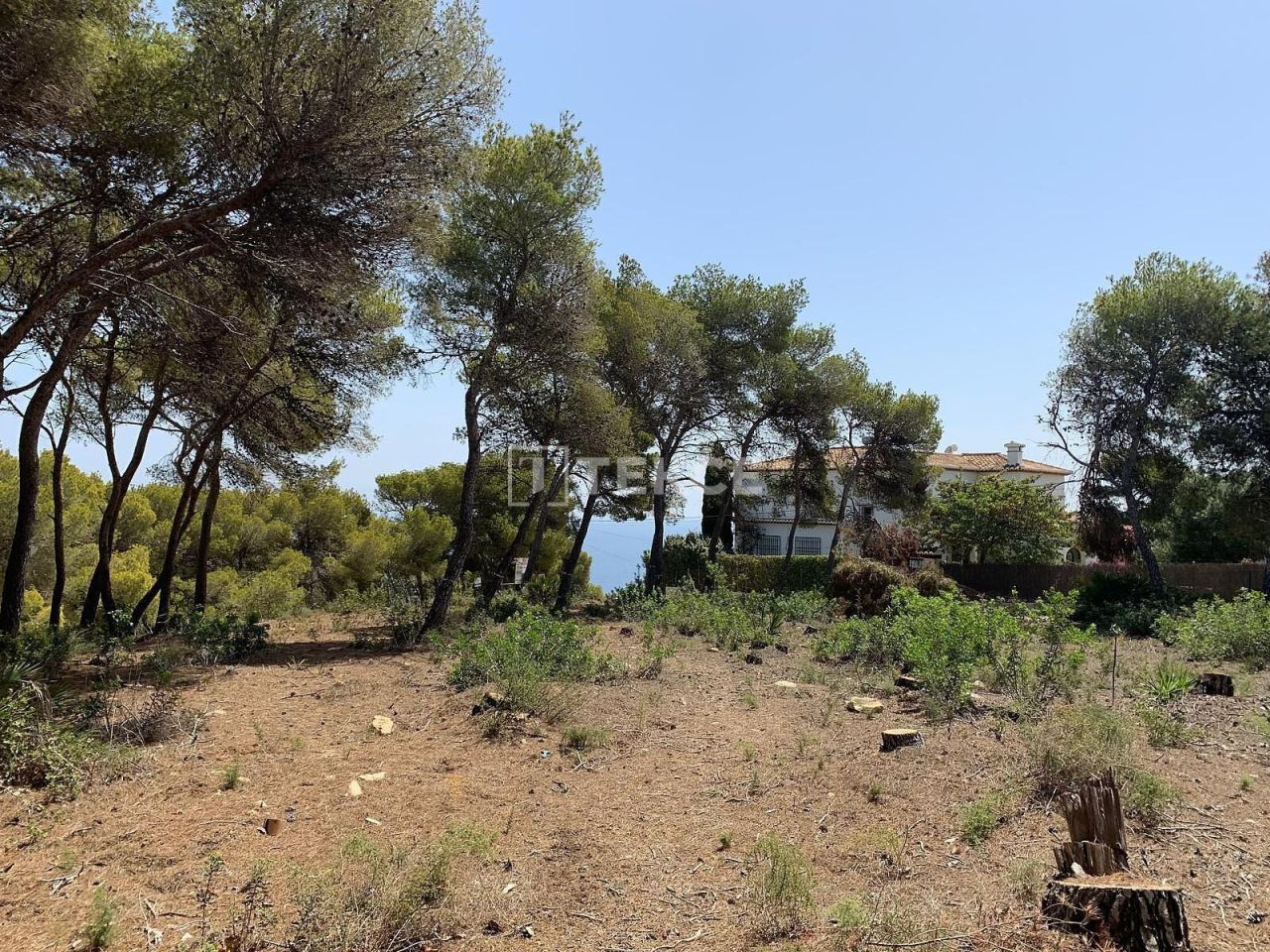 Вилла в Бенитачеле, Испания, 414 м² - фото 17