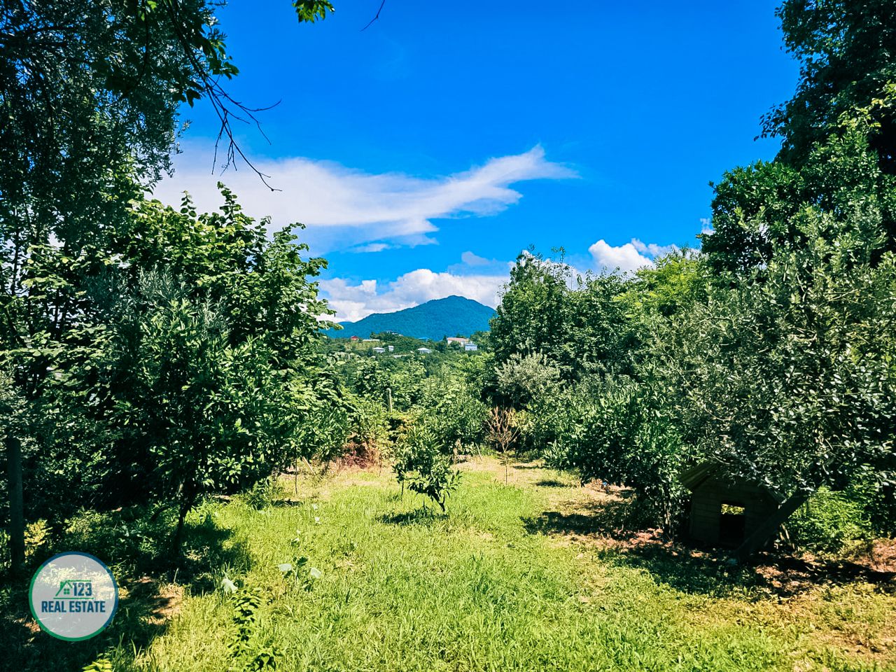 Дом в Батуми, Грузия, 200 м² - фото 12