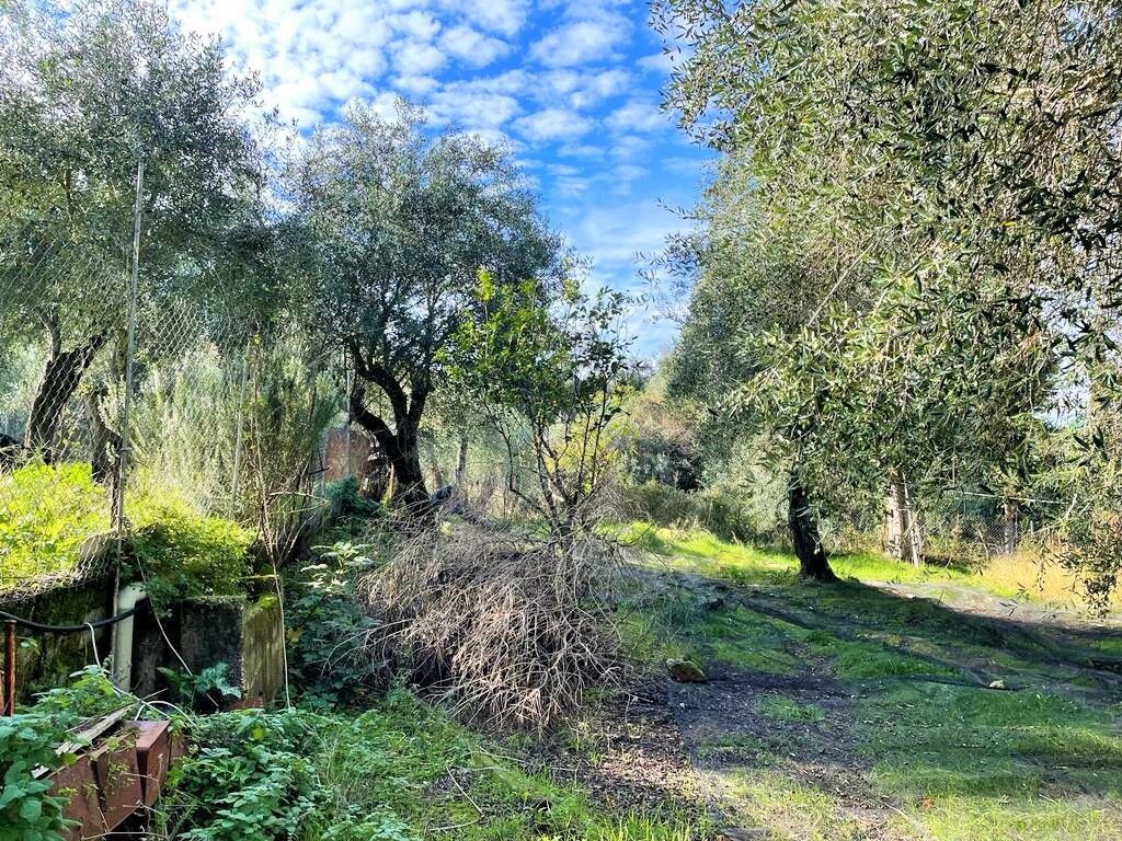 Дом на Корфу, Греция, 190 м² - фото 15