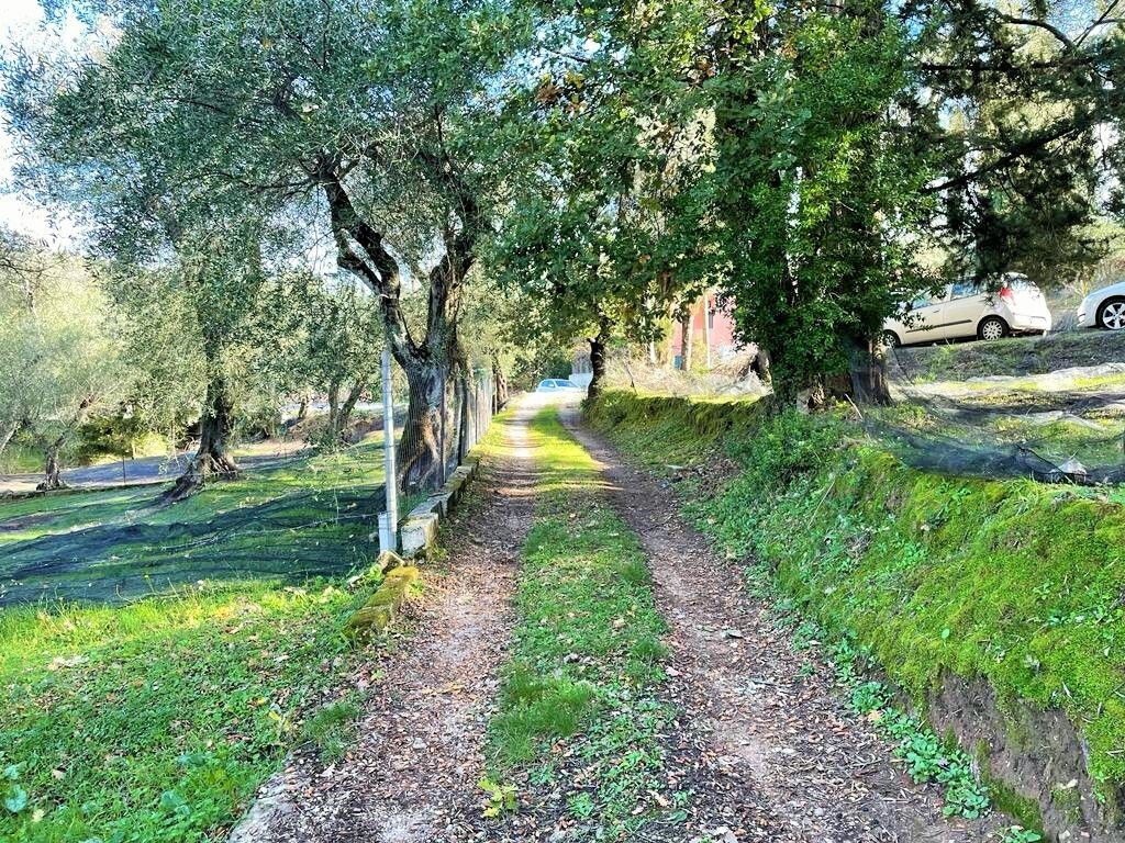 Дом на Корфу, Греция, 190 м² - фото 16